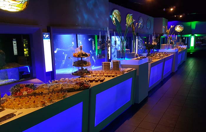 Exklusives Buffet für ein Event Catering in Berlin